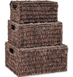 Set of 3 Rectangular Seagrass Baskets with Lids by Trademark Innovations