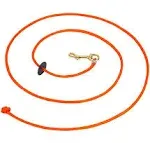 Puppy 6 | 2 leashes In One Check Cord | PLX100 | Hunting Dog Training | Dokken