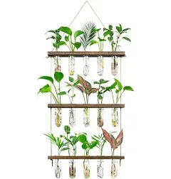 Monsiter QE 3 Tier Large Propagation Stations Wall Hanging Plant Terrarium with Wooden Stand