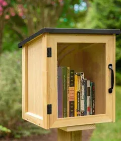 Ilyapa Outdoor Library Book Box