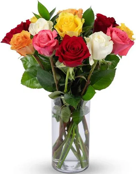 BENCHMARK BOUQUETS - 12 Stem Rainbow Roses (Glass Vase Included), Next-Day De...