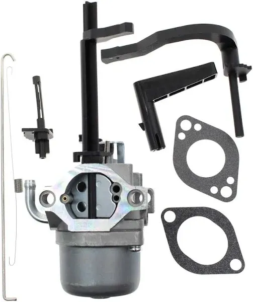 591378 Carburetor Replacement for BS Snowblower 695786 796321 696132 696133 796322 697978 699966 699958 695330 796323 697351 698455 695918 694952 695919 695920 695328