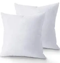 Utopia Bedding Throw Pillows Insert (Pack of 2, White) - 12 x 12 Inches Bed and Couch Pillows - Indoor Decorative Pillows