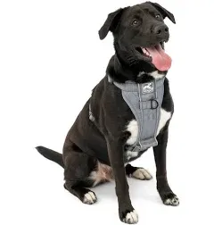 Kurgo Tru-Fit Smart Dog Harness