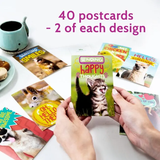 T MARIE 40 Funny Animal Postcards