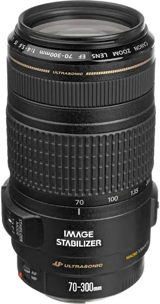 Canon EF 70-300mm f/4-5.6L is USM, 4426B005AA - International Version