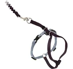 PetSafe Come with me kitty Black Harness &amp; Leash Nylon Cat Leash and Harness Small