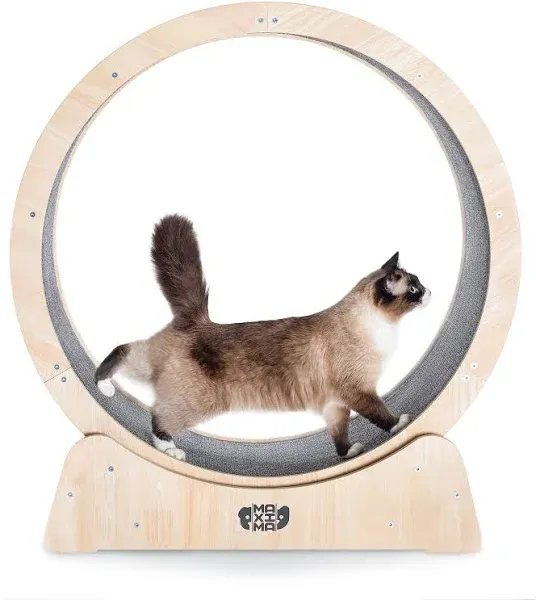 Cat Exercise Wheel 35&#034; Assembly Video Included -Australian Brand- Organic Woo...