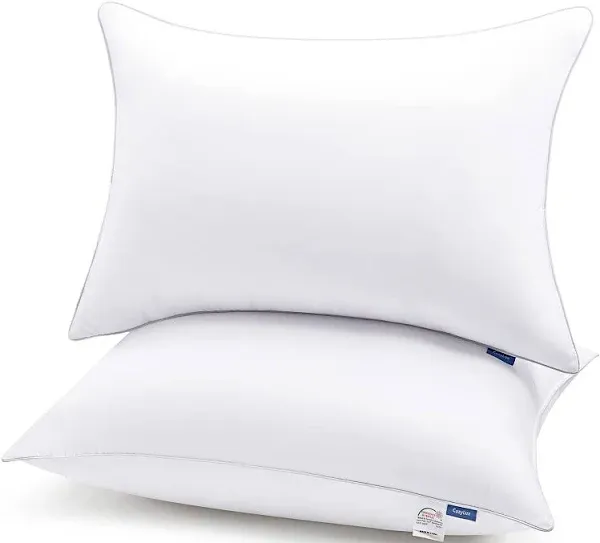 CozyLux Pillows Queen Size Set of 2, - 18&#034; x 28&#034; (Pack 2), White 