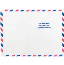 JAM Paper Tyvek Tear-Proof Open End Catalog Envelopes