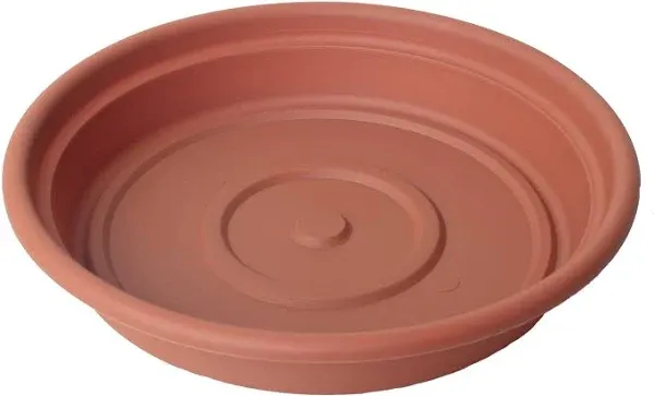 Bloem SDC20-46 Dura Cotta Plant Saucer, 20-Inch, Terra Cotta