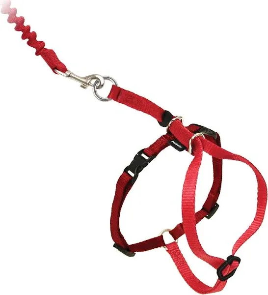 PetSafe Come with Me Kitty Harness Bungee Leash