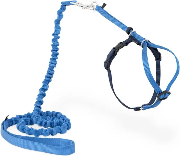 Come with Me Kitty Harness and Bungee Leash, Harness for Cats, Medium, Royal Blu