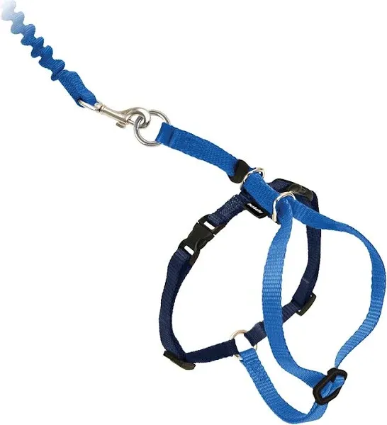 PetSafe COME WITH ME KITTY Cat Harness &amp; Bungee Leash Blue, Large, BRAND NEW