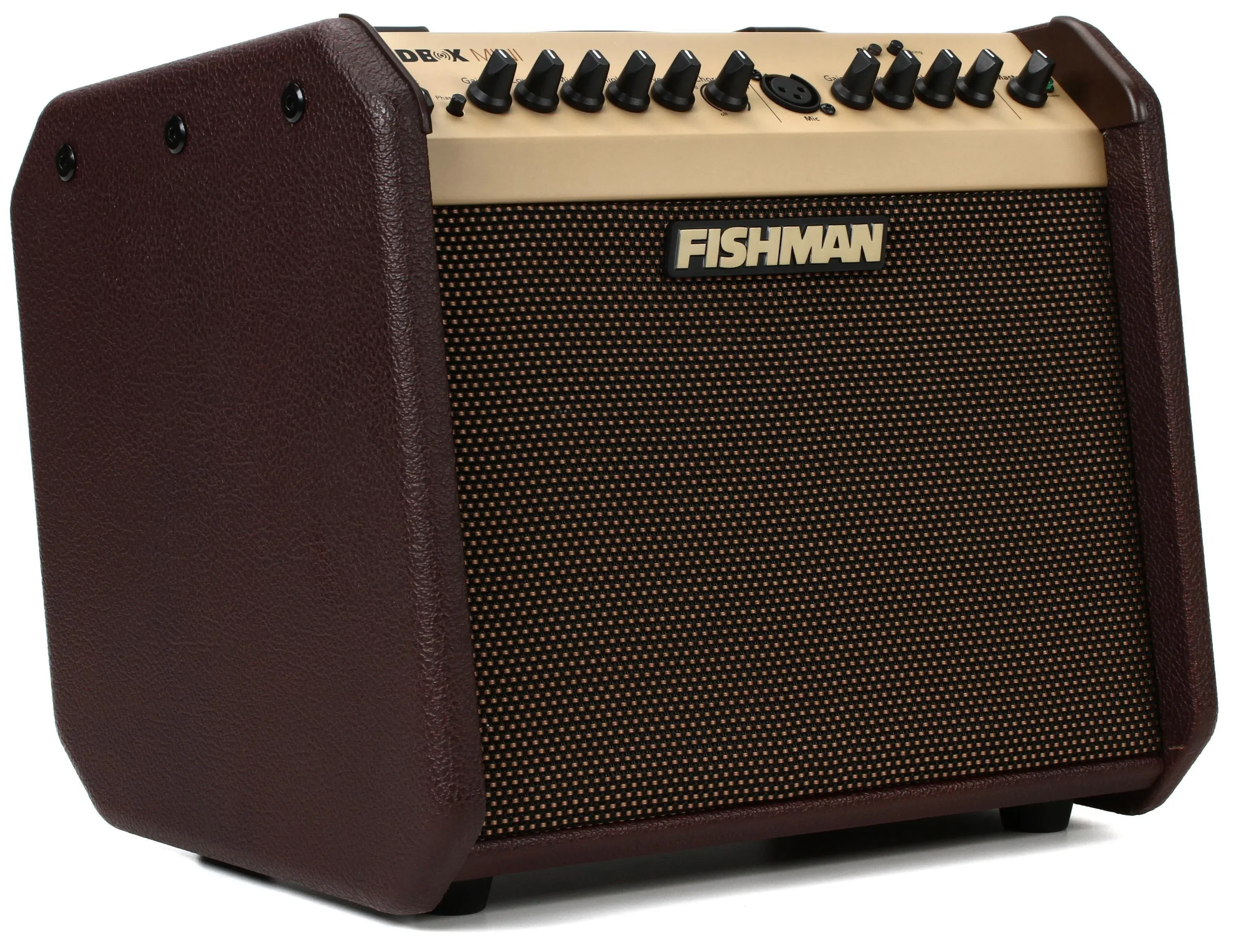 Fishman PRO-LBT-500 Loudbox Mini with Bluetooth 2-Channel 60-Watt 1x6.5" Acoustic Guitar Amp | Reverb