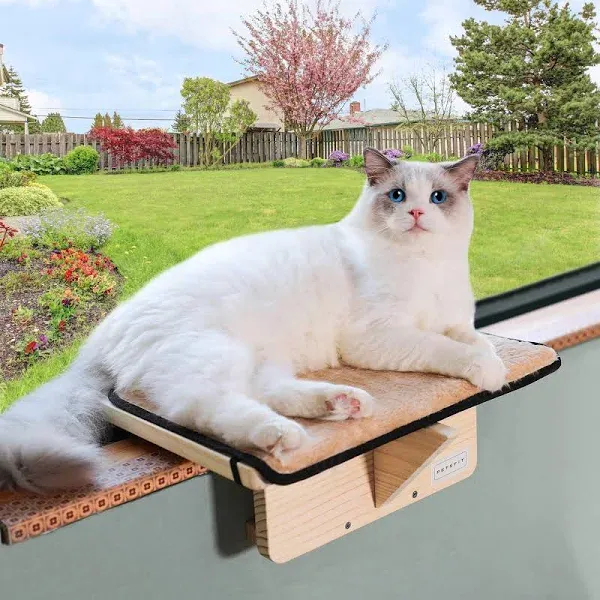 Petsfit Cat Window Perch