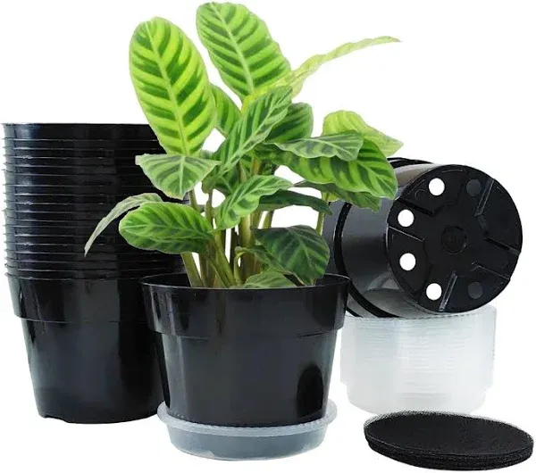 RooTrimmer 20 Pack 6 Inch Plant Pots