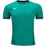 Puma Team Goal Jersey