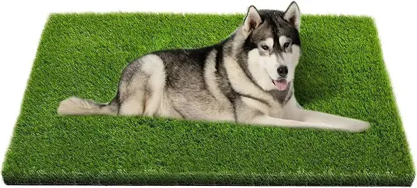 CooZero Artificial Grass, Professional Dog Grass Mat, Potty Training Rug and Replacement Artificial Grass Turf