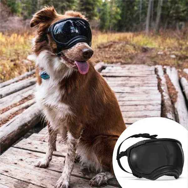 Rex Specs V2 Dog Goggles - Black