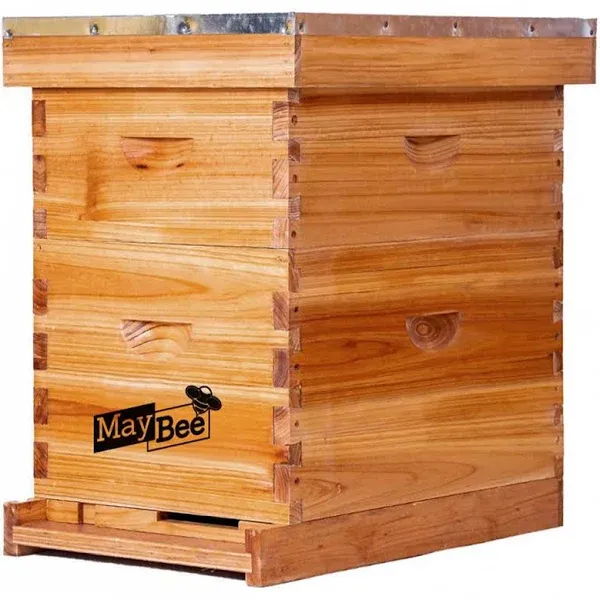 Beehive 8 Frame Bee Hives and Supplies Starter Kit, Bee Hive for Beginner, Honey Bee Hives Includes 1 Deep Bee Boxes, 1 Bee Hive Super with Beehive