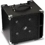 Phil Jones BG-450 Compact Plus Bass Combo Amp