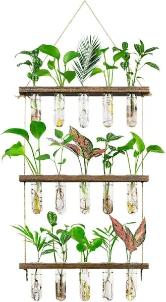 Monsiter Qe 3 Tier Large Propagation Stations Wall Hanging Plant Terrarium with Wooden Stand, Retro Propagation Test Tube for Hydroponic Plants