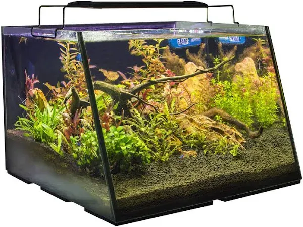 Lifegard Aquatics Full-View Aquarium with Built-in Back Filter- Patented Angle Design - Empty - No Accessories - 5 Gallons