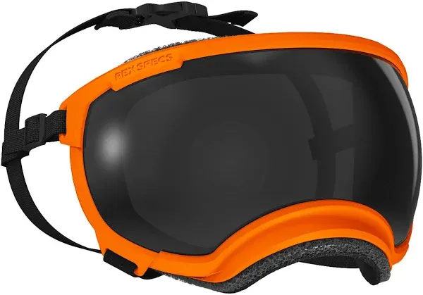 Appalachian Orange V2 RexSpecs