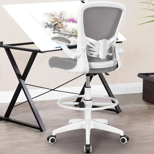 Office Chair Ergonomic Desk Chair with Lumbar Support and Height, Rolling Swi...