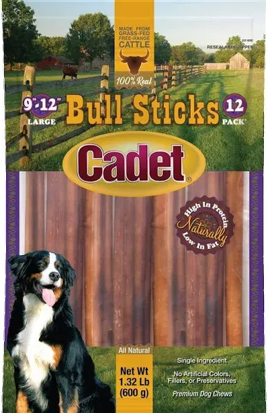 Cadet 9-12&#034; Bull Sticks, 12 Count, Exp 01/31/2026 Dog Treats Snacks Long Lasting