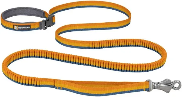 Roamer Leash Ruffwear