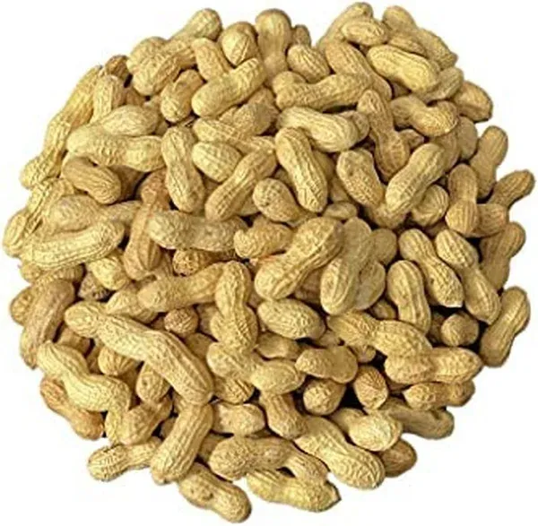 Peanuts in Shell Animal Bird Feed