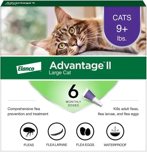 Advantage II Flea Cats