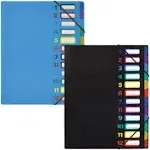 24 Clear Pocket Expanding File Folder with 12 Colored Tabs, Letter Size, Holds 3