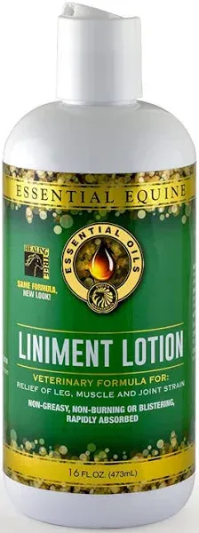 Liniment Lotion/473 ml 16 Oz  by Essential Equine