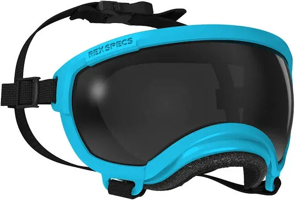 Dog Eyewear | Dog Goggles Eye Protection | Rex Specs