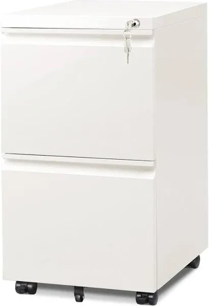 DEVAISE 2-Drawer Mobile File Cabinet