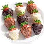 Golden State Fruit Berry Bites Chocolate Covered Strawberries