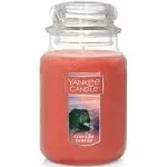 [YANKEE CANDLE] Pink Sands Large Jar Candle,Fresh Scent