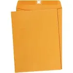 Basics 9 x 12-Inch Clasp Kraft Envelopes Gummed 100-Pack