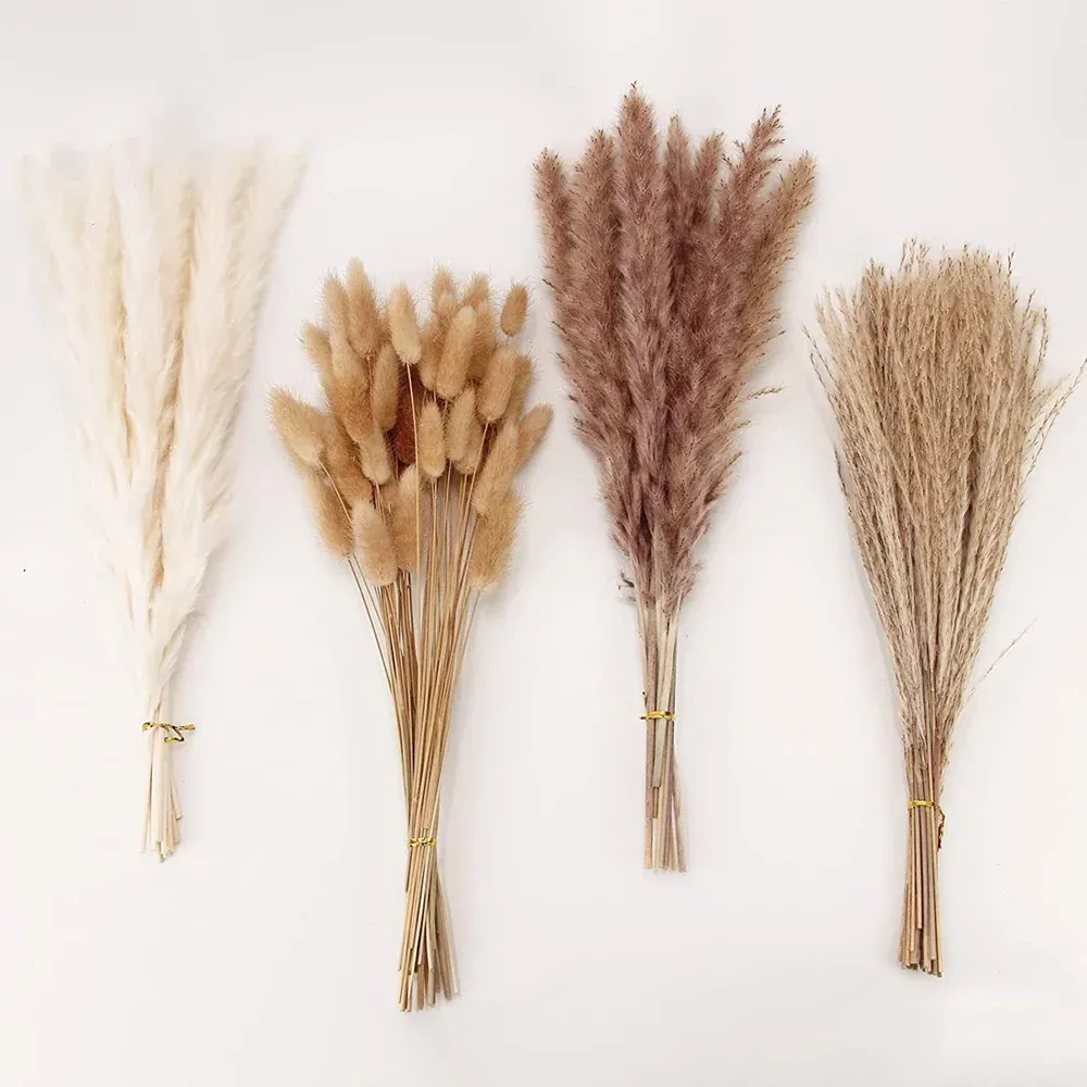 Dried Pampas Grass Decor, 100 PCS Pampas Grass Contains Bunny Tails Dried Flower