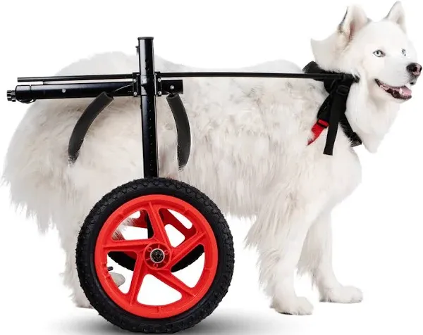 Pro Quad Large Best Friend Mobility Pro Dog Wheelchair for Full Support 4 Wheels