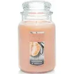 Yankee Candle Candle, Tangerine & Vanilla - 1 candle, 22 oz