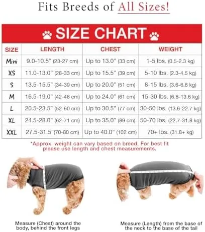 BellyGuard Surgery Dog Recovery Onesie, Post Suit for Male and Female Dogs, Comfortable Cone Alternative for Large and