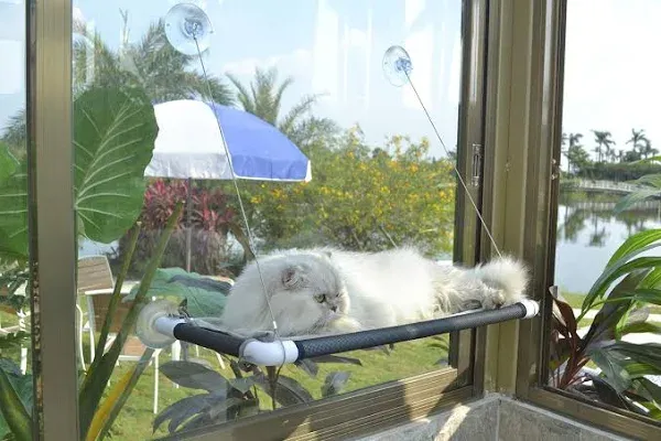 PEFUNY Cat Window Perch