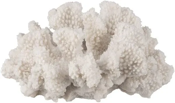 White Coral Décor 7" x 7" x 4" Resin Faux Coral Sculpture