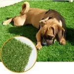 Altruistic Thick Realistic Artificial Grass Mat Customized Sizes, 5ft x 10ft Synthetic Fake Astro Turf Indoor Outdoor Garden Lawn Landscape, Faux