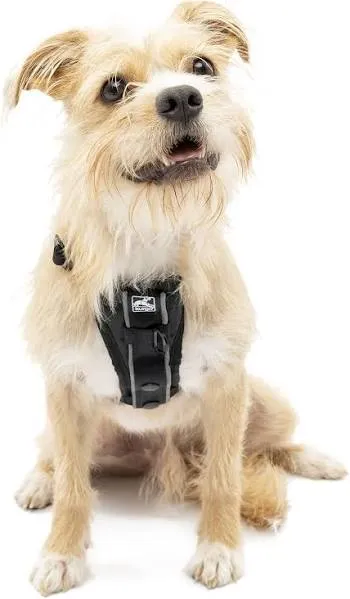 Kurgo Tru-Fit Smart Dog Harness