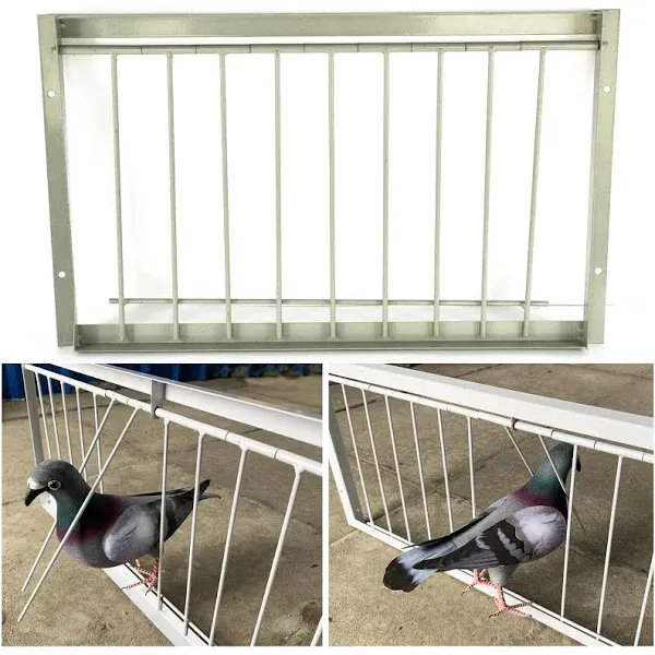 Pigeon Loft Door